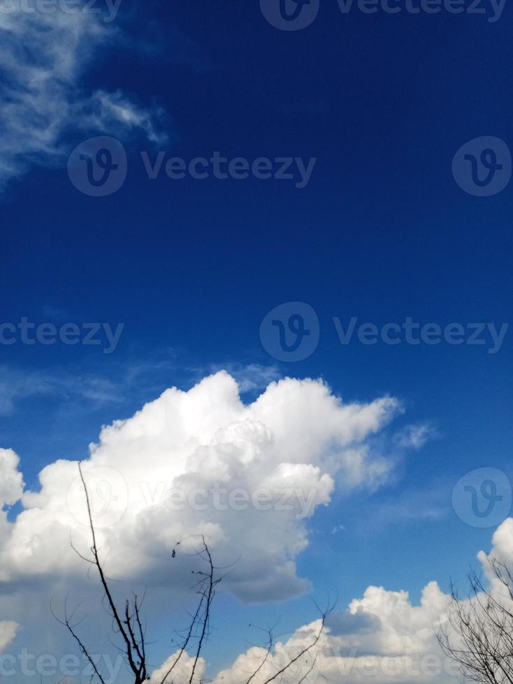 blu cielo con nuvole e albero foto