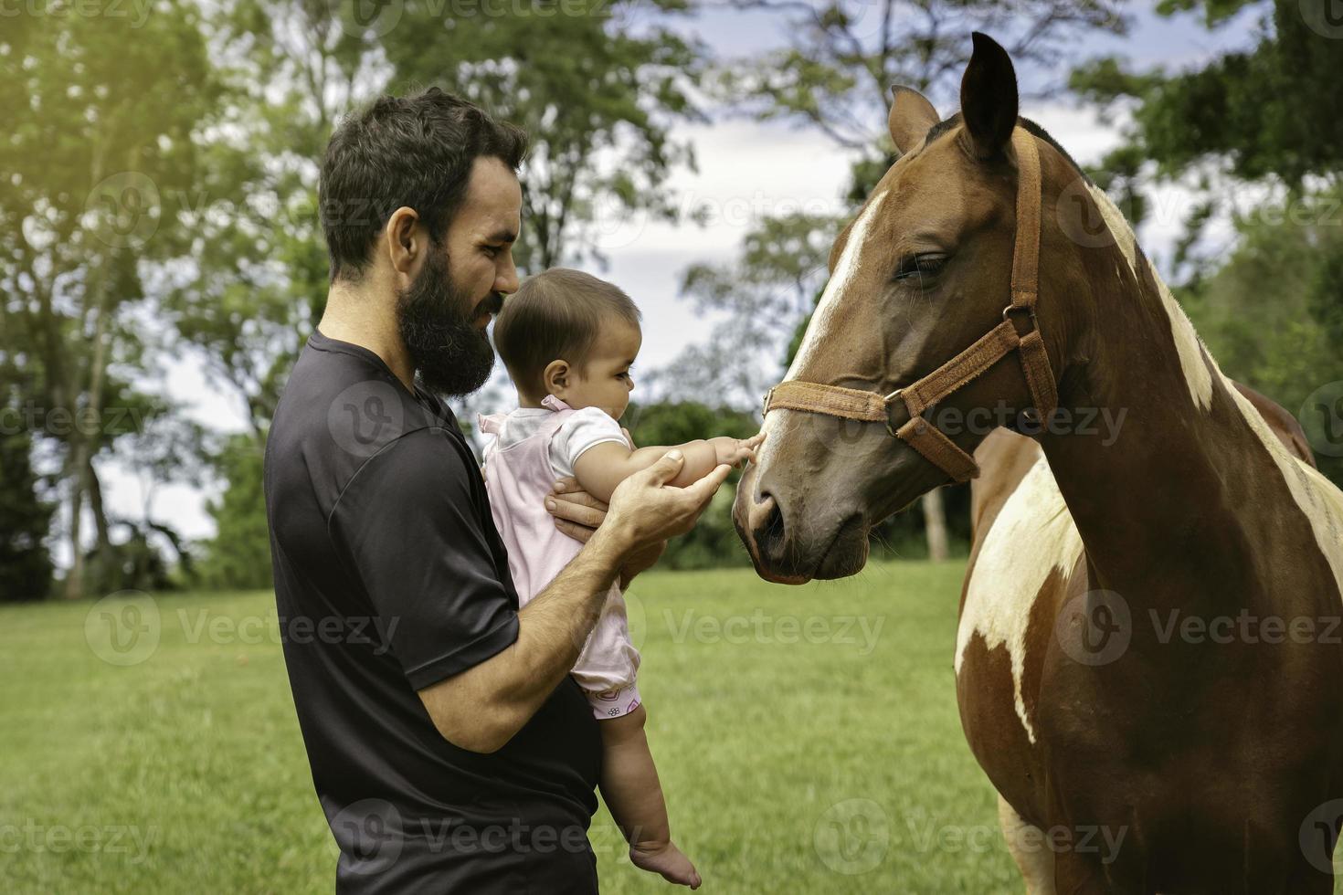 padre e poco figlia toccante cavallo. foto