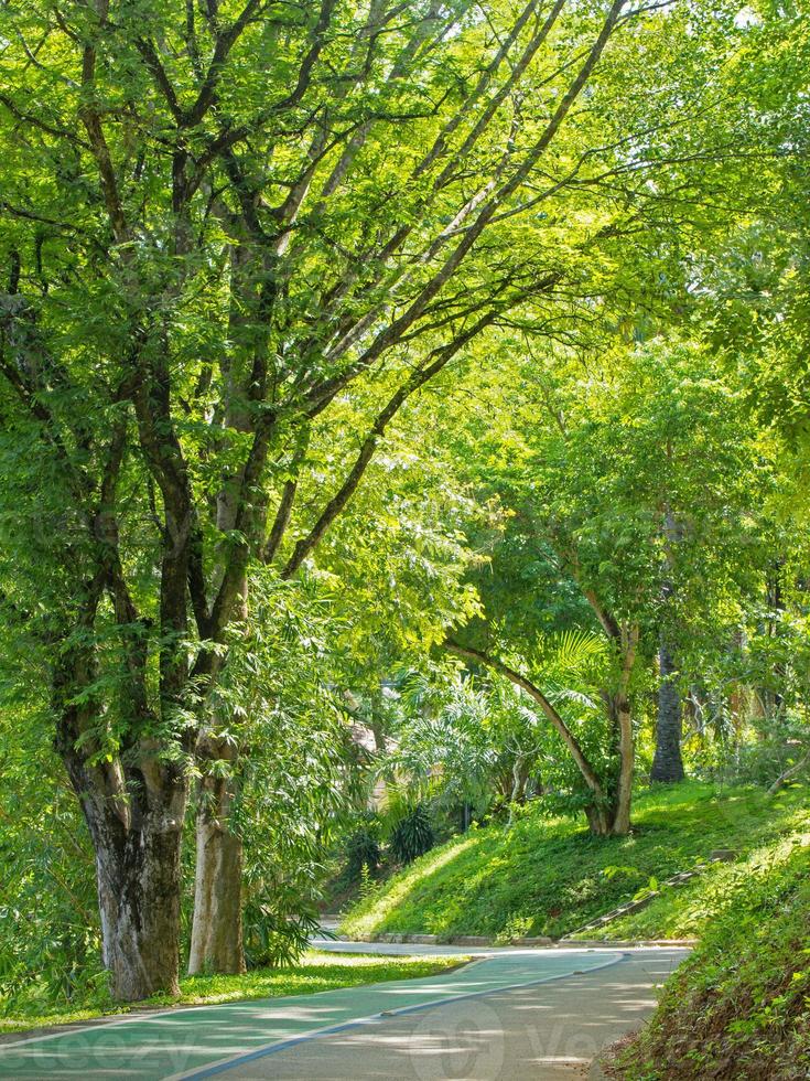 passerella e pubblico parco foto