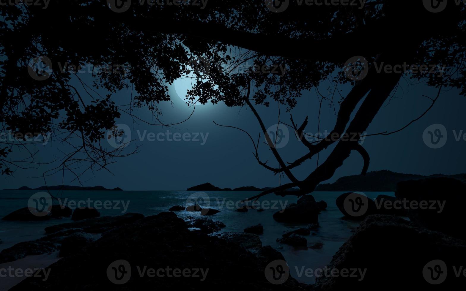 bellissimo calma notte a spiaggia con alberi, chiaro di luna e rocce foto