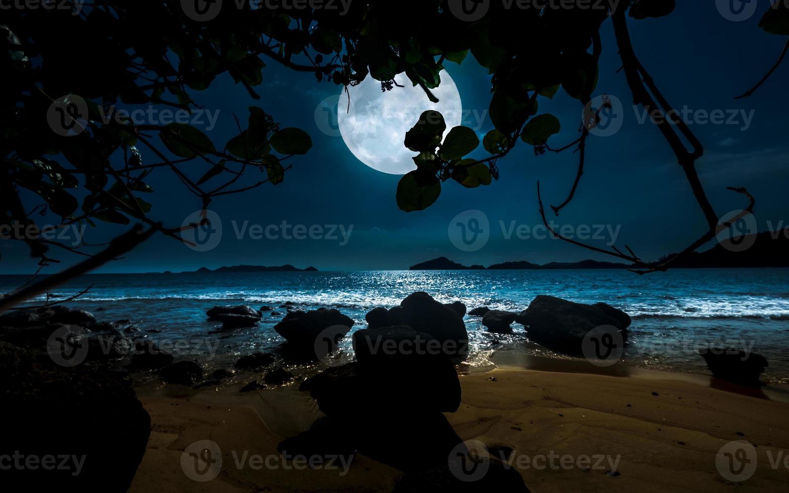 spiaggia notte panorama con pieno Luna. tranquillo notte a mare foto
