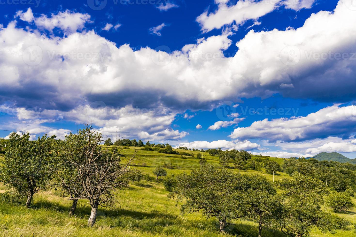 Greben collina dal fiume Danubio in Serbia foto