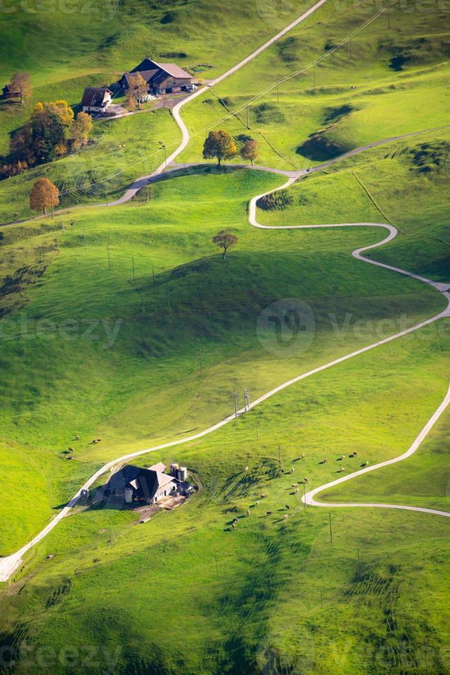 un' azienda agricola su un' verde prato paesaggio con strade e alberi foto