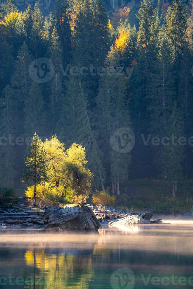 un' nebbioso montagna lago nel il mattina foto