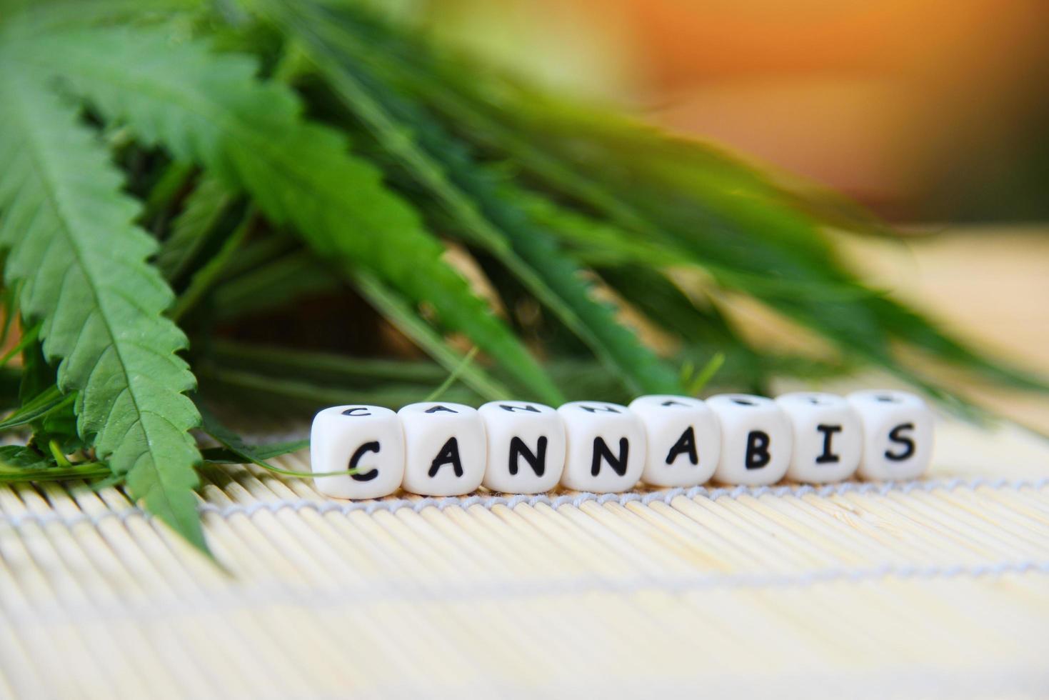 canapa le foglie marijuana pianta su di legno sfondo - canapa foglia per estratto medico assistenza sanitaria naturale foto