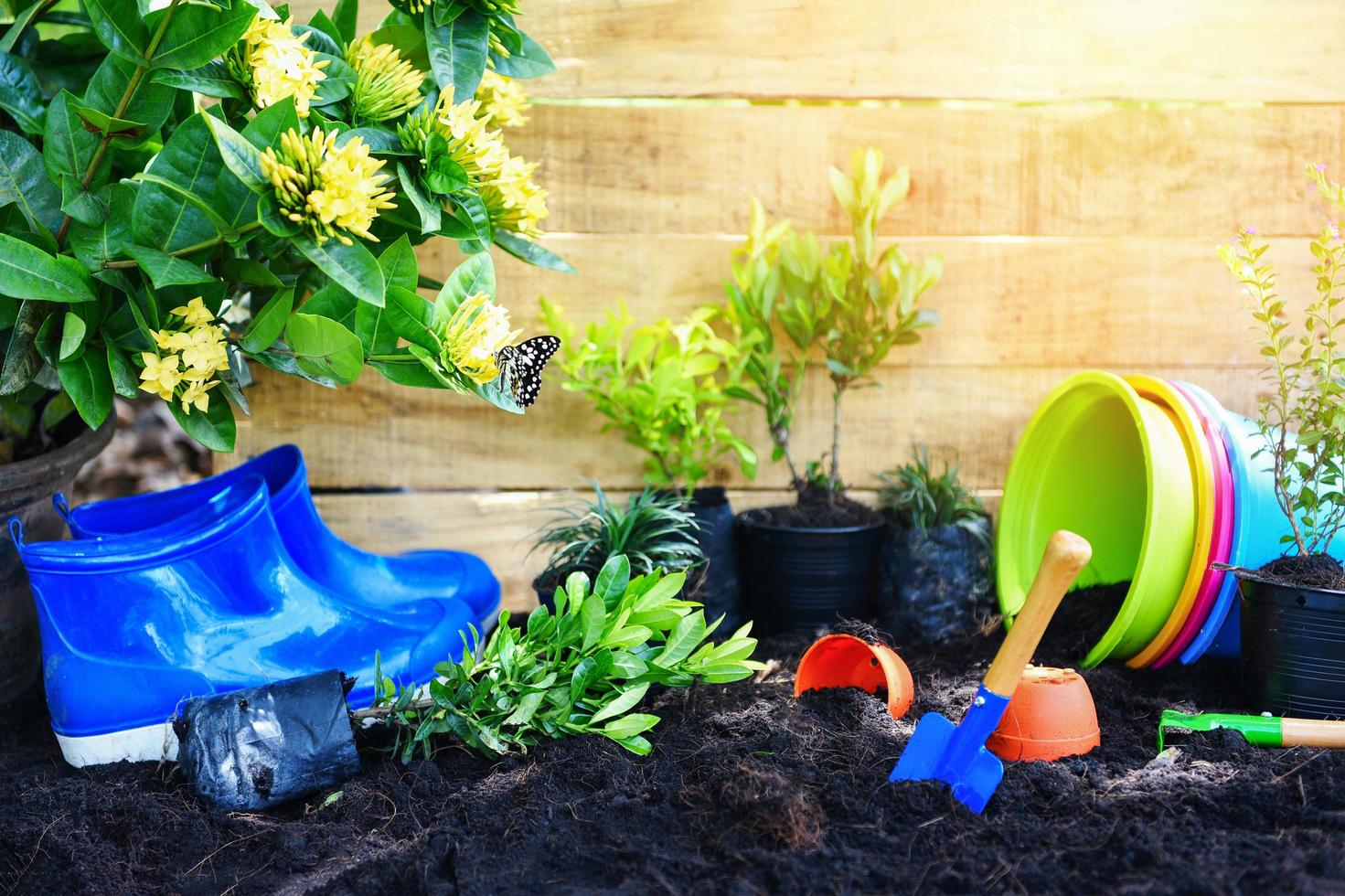 giardinaggio utensili con suolo e di legno sfondo pronto per piantare fiori e piccolo pianta nel il primavera giardino lavori concetto giardinaggio fiore pentole nel soleggiato foto