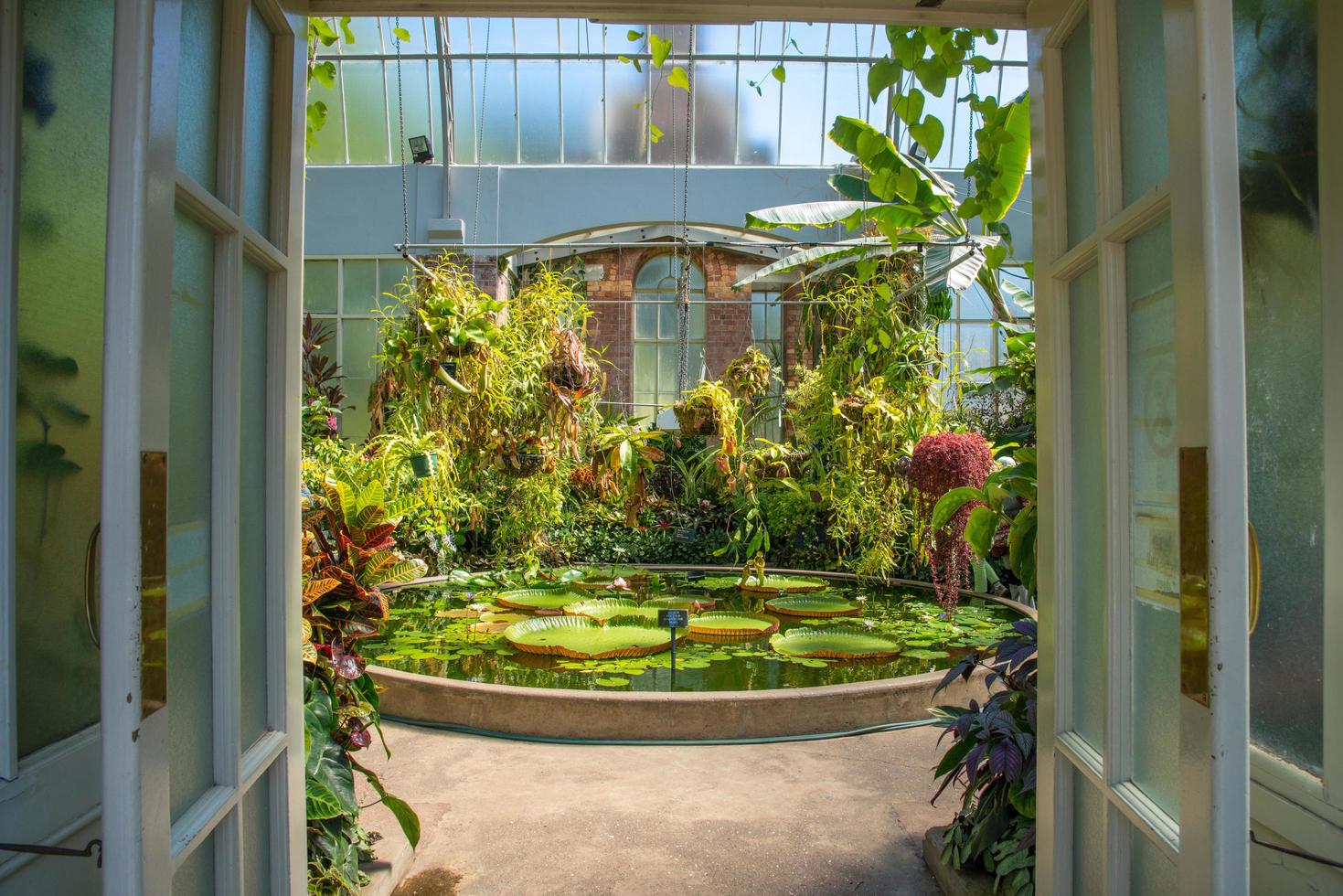 il inverno giardino a il Auckland dominio è un' Tesoro di grande storico interesse. foto