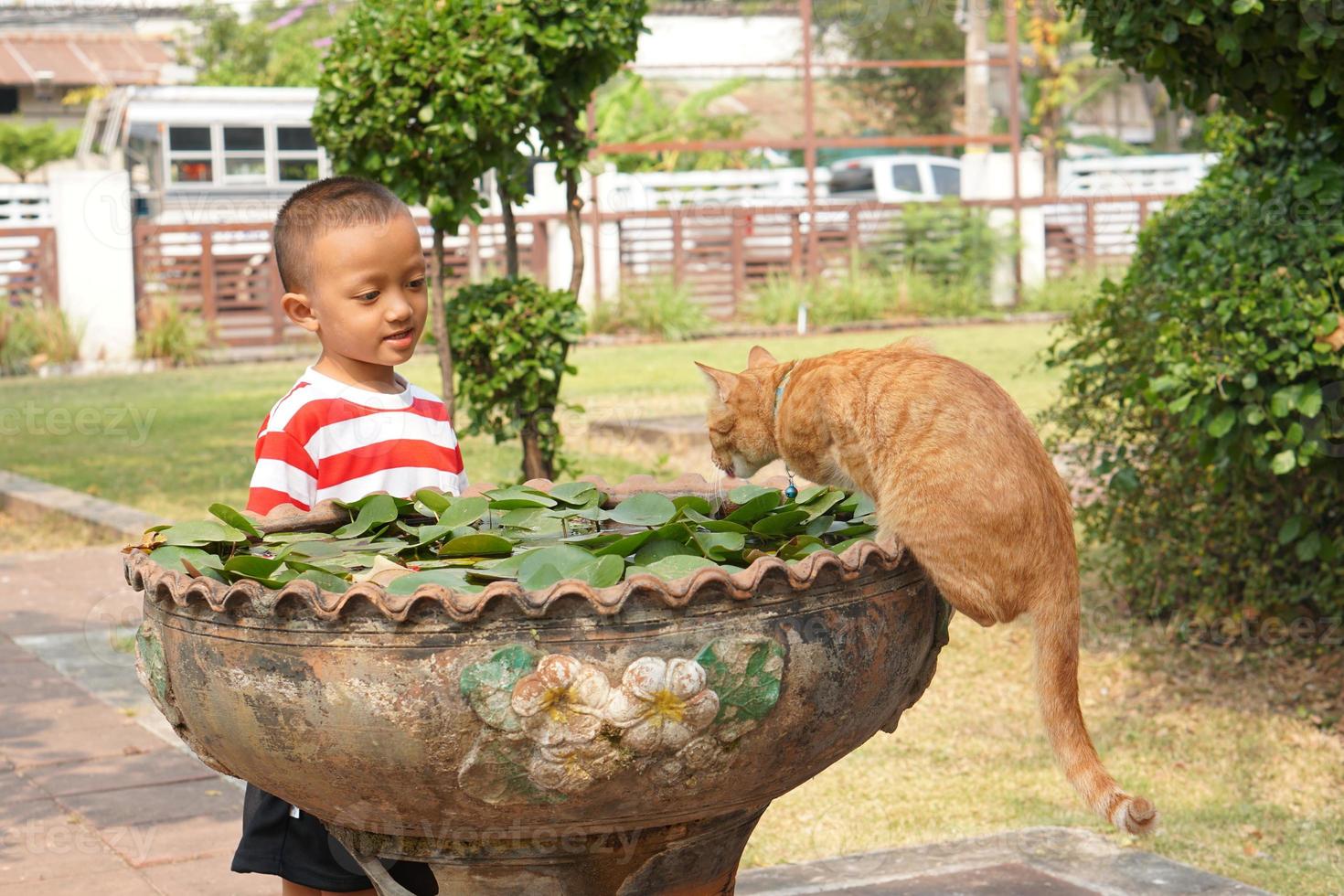 ragazzo giocando con gatto nel il bagno foto