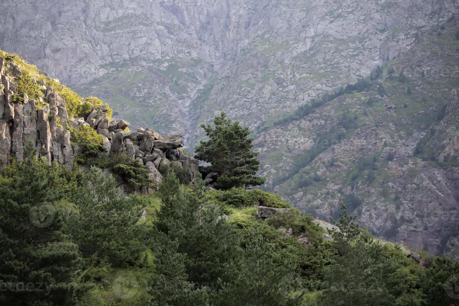 roccioso montagne con conifero alberi. foto