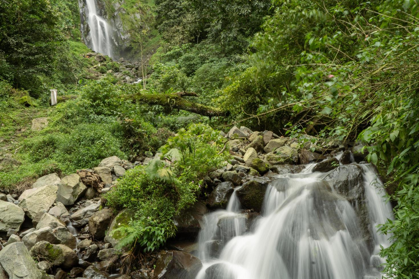 scenario di singolo acqua autunno su il tropicale foresta. il foto è adatto per uso per avventura soddisfare media, natura manifesto e foresta sfondo.