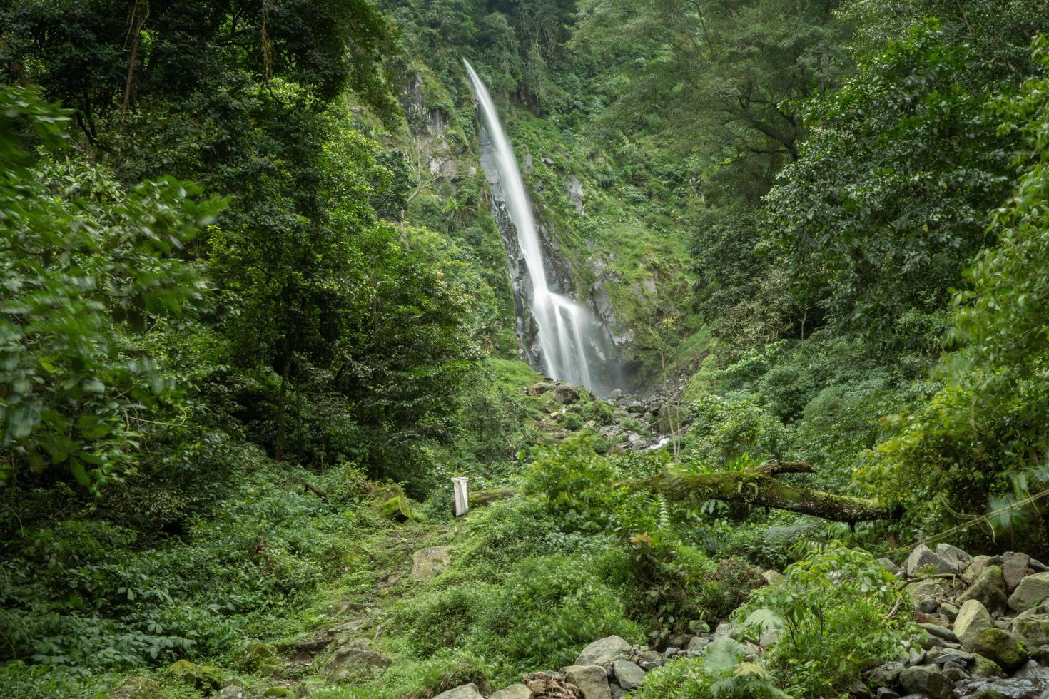 scenario di singolo acqua autunno su il tropicale foresta. il foto è adatto per uso per avventura soddisfare media, natura manifesto e foresta sfondo.