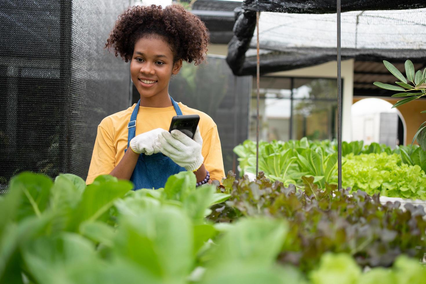 ritratto di contento mezzo tailandese metà africano donna contadino in piedi dietro a un' verdura tracciare e utilizzando smartphone per dai un'occhiata ordine. concetto di agricoltura biologico per Salute, vegano cibo e piccolo attività commerciale. foto