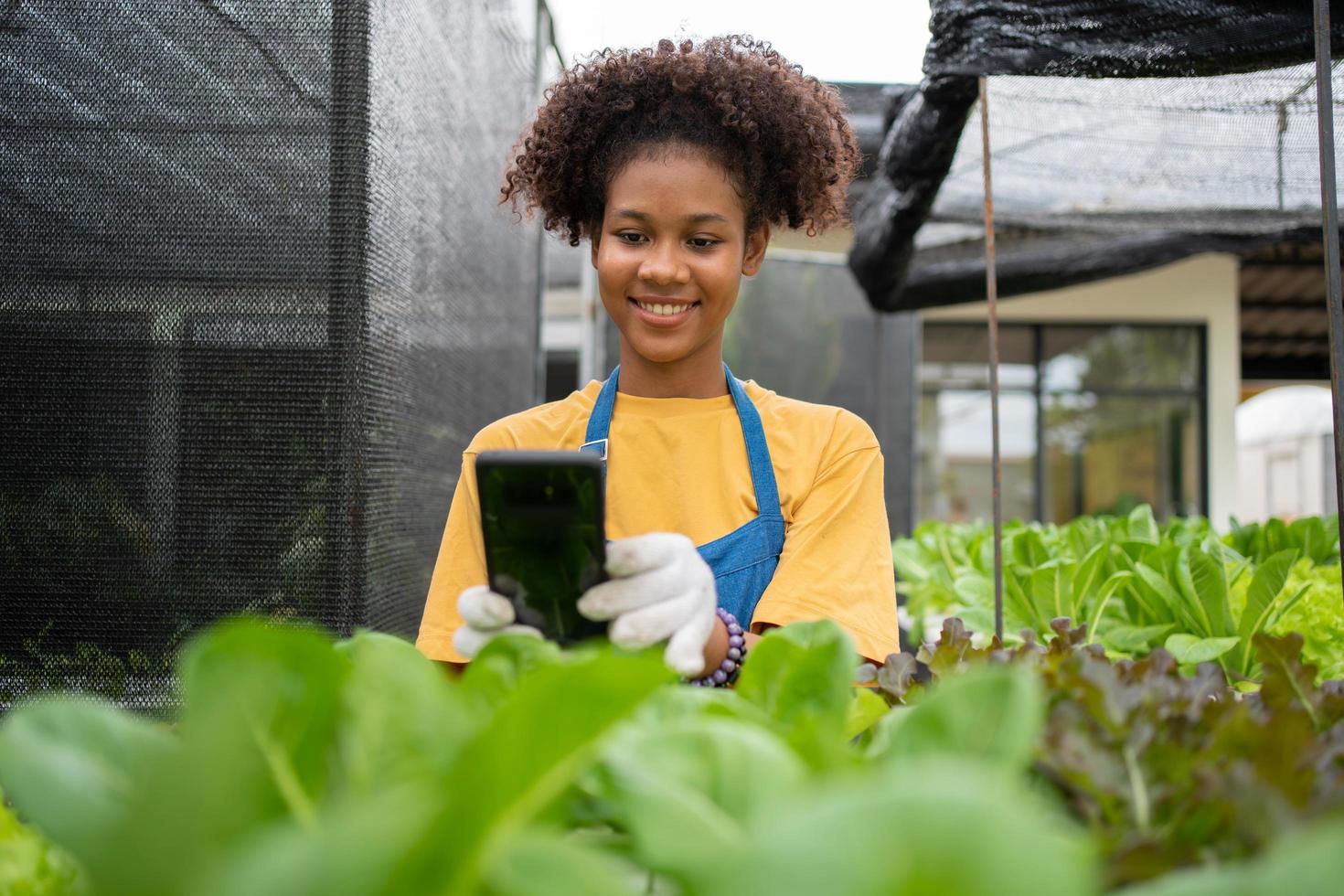 ritratto di contento mezzo tailandese metà africano donna contadino in piedi dietro a un' verdura tracciare e utilizzando smartphone per dai un'occhiata ordine. concetto di agricoltura biologico per Salute, vegano cibo e piccolo attività commerciale. foto