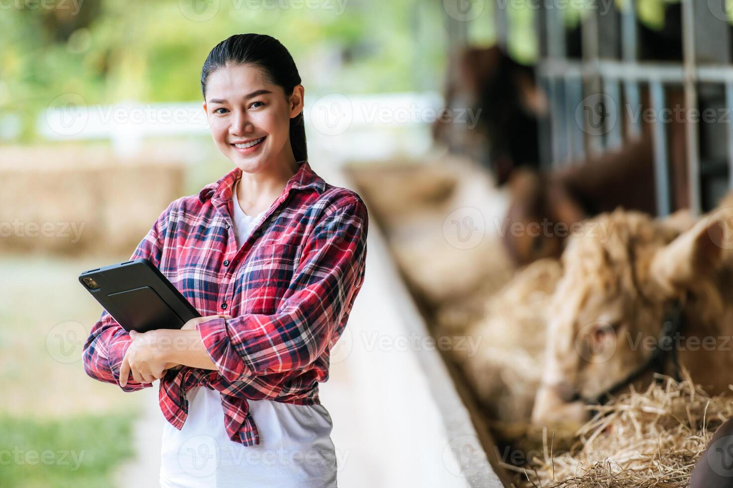 ritratto di contento giovane asiatico contadino donna attraversamento braccio e guardare a telecamera a latteria mucca azienda agricola. agricoltura industria, agricoltura, le persone, tecnologia e animale allevamento concetto. foto