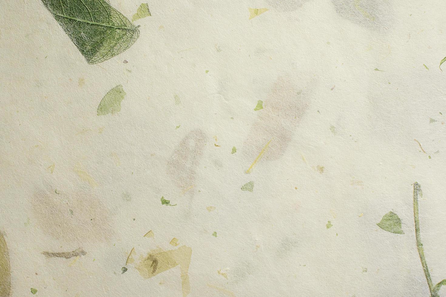 carta di gelso bianco pallido con foglie texture di sfondo foto