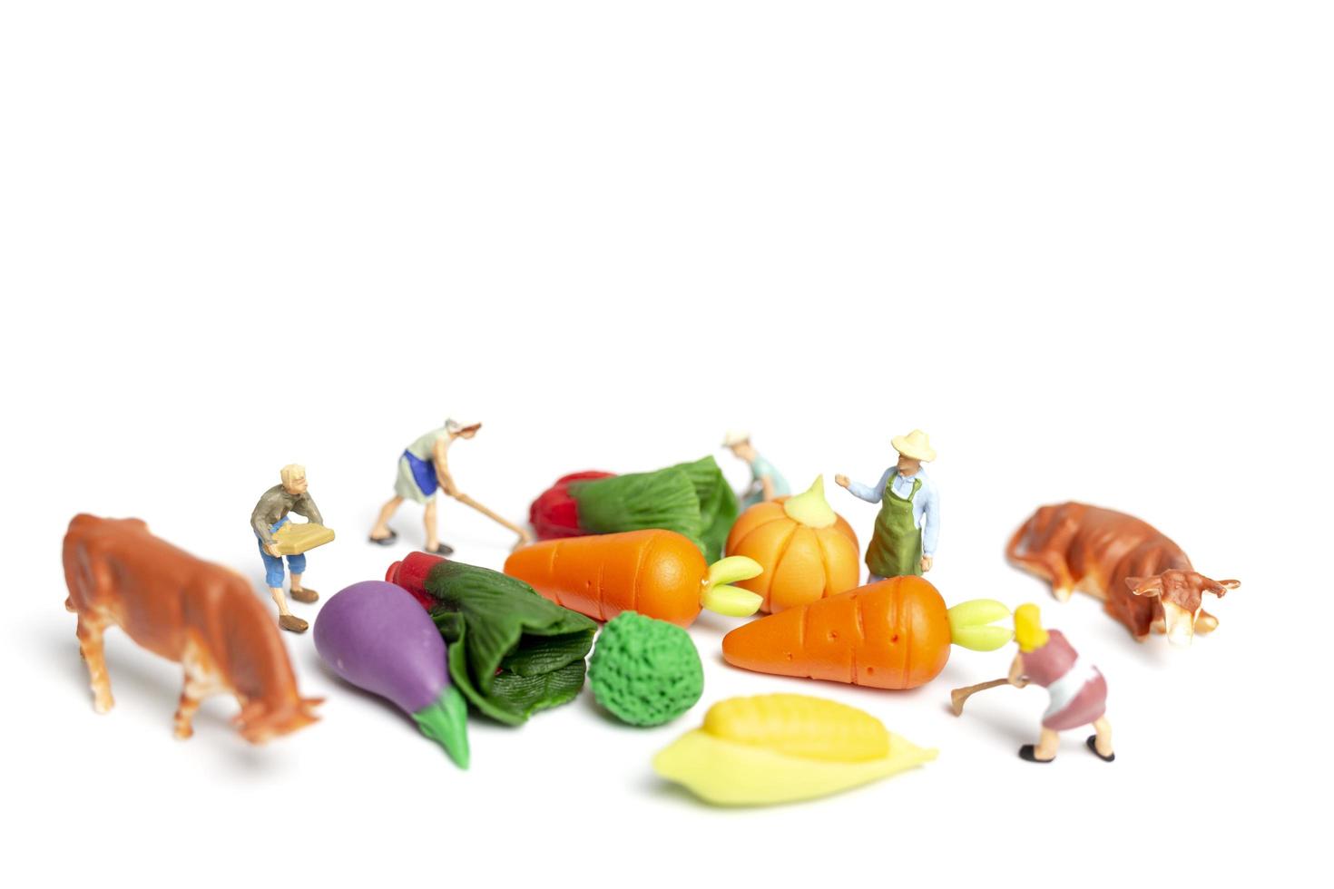 giardinieri in miniatura raccolta di verdure su uno sfondo bianco, il concetto di agricoltura foto