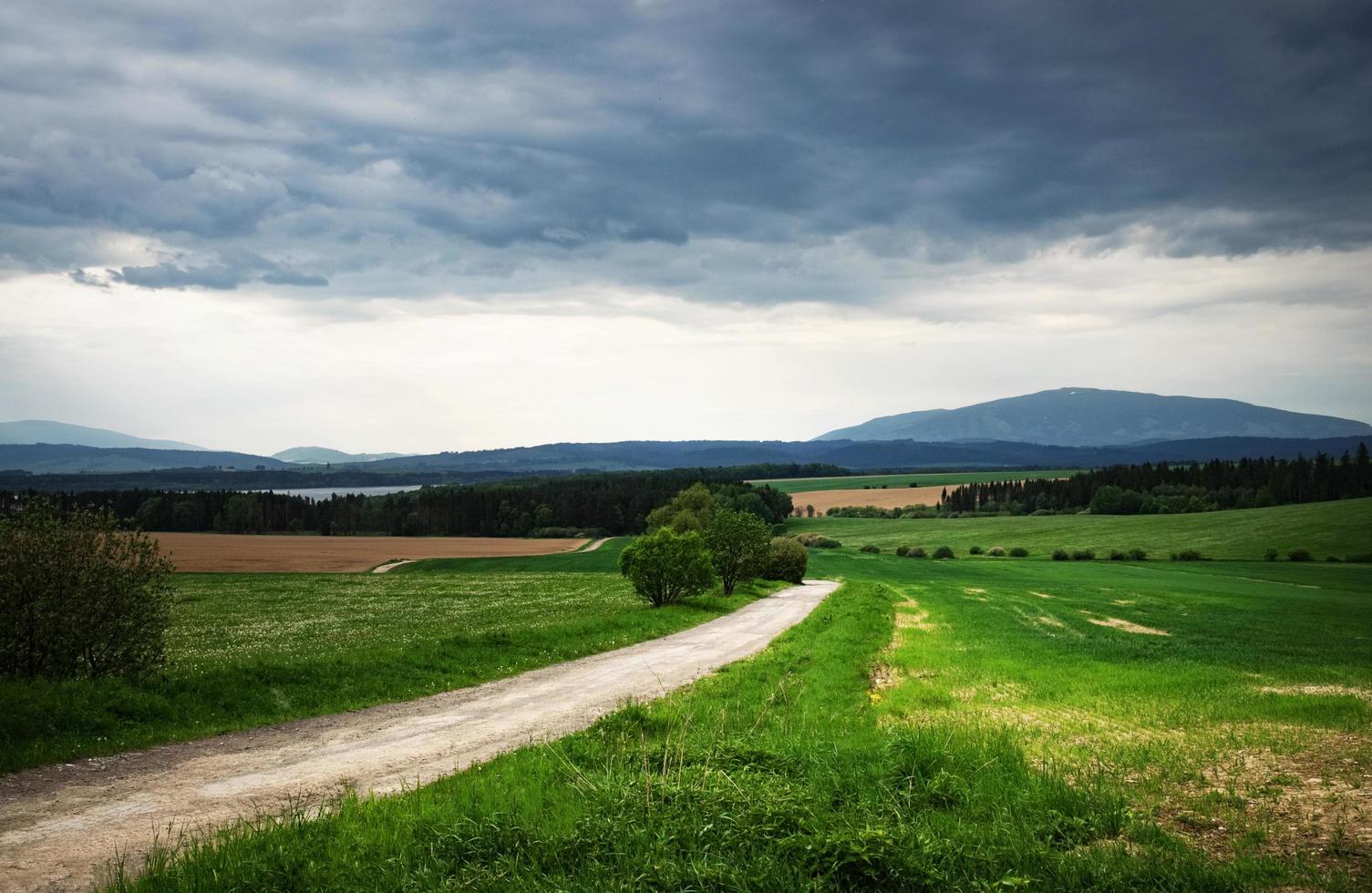 strada in campagna foto