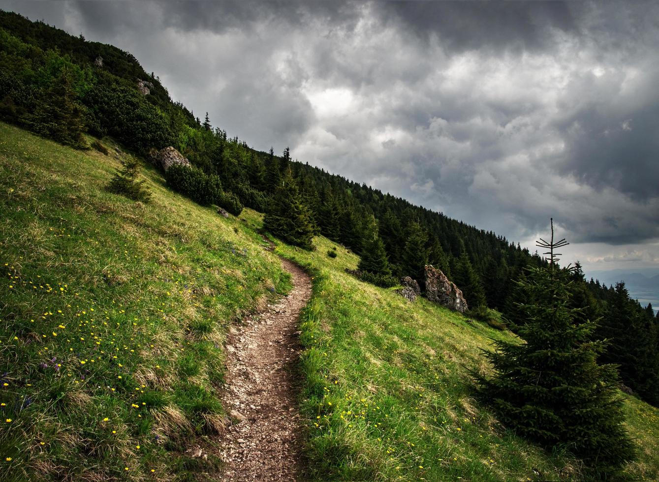 sentiero di montagna sul ripido prato foto