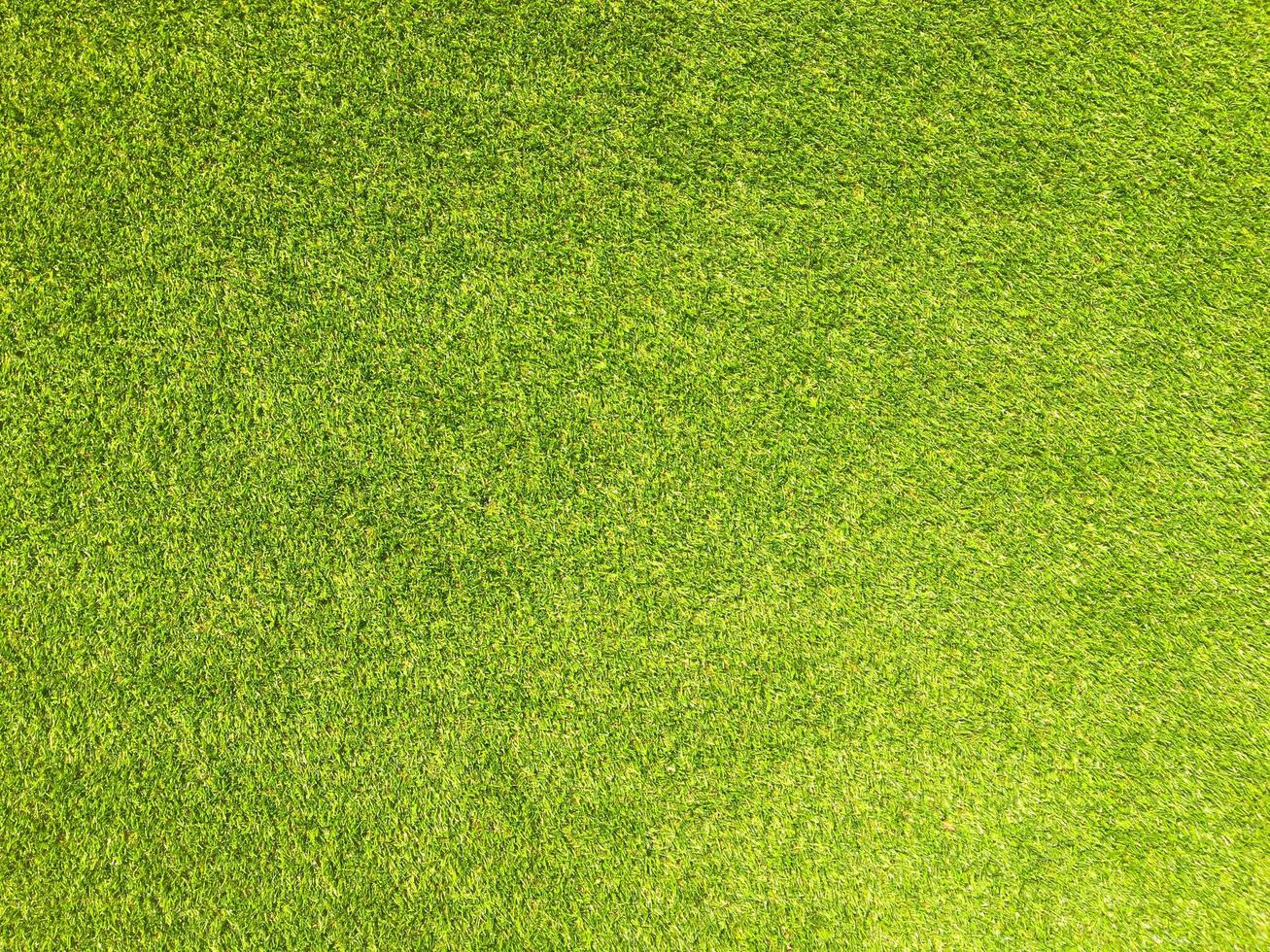 sfondo di erba artificiale per il design foto