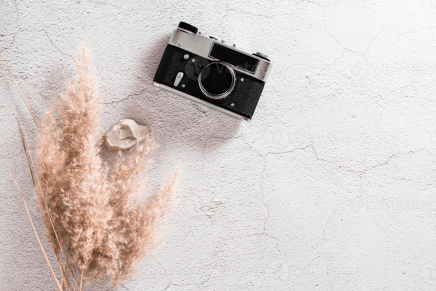 piatto posare concetto viaggio. Vintage ▾ telecamera, pietra e erba su un' strutturato calcestruzzo sfondo. foto