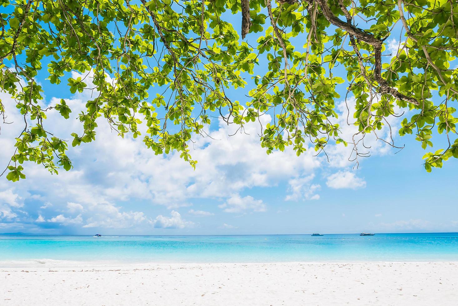 bellissimo sfondo spiaggia tropicale foto