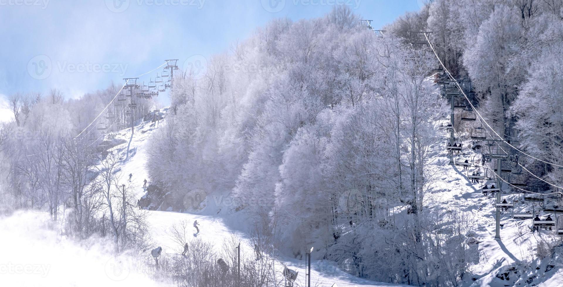 inverno e neve scenario vicino faggio montagna nord carolina foto