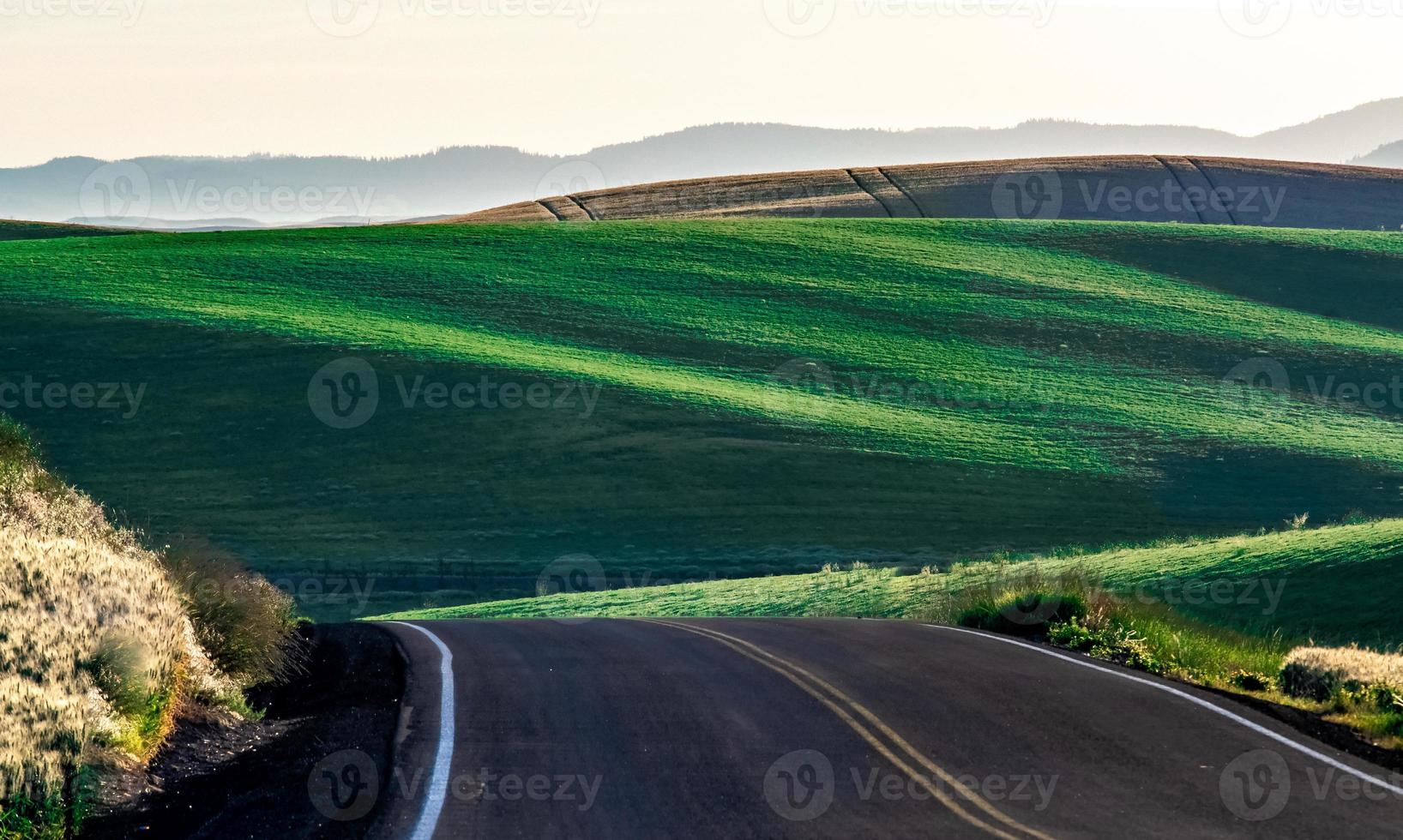 paesaggio scene nel palosa Washington foto