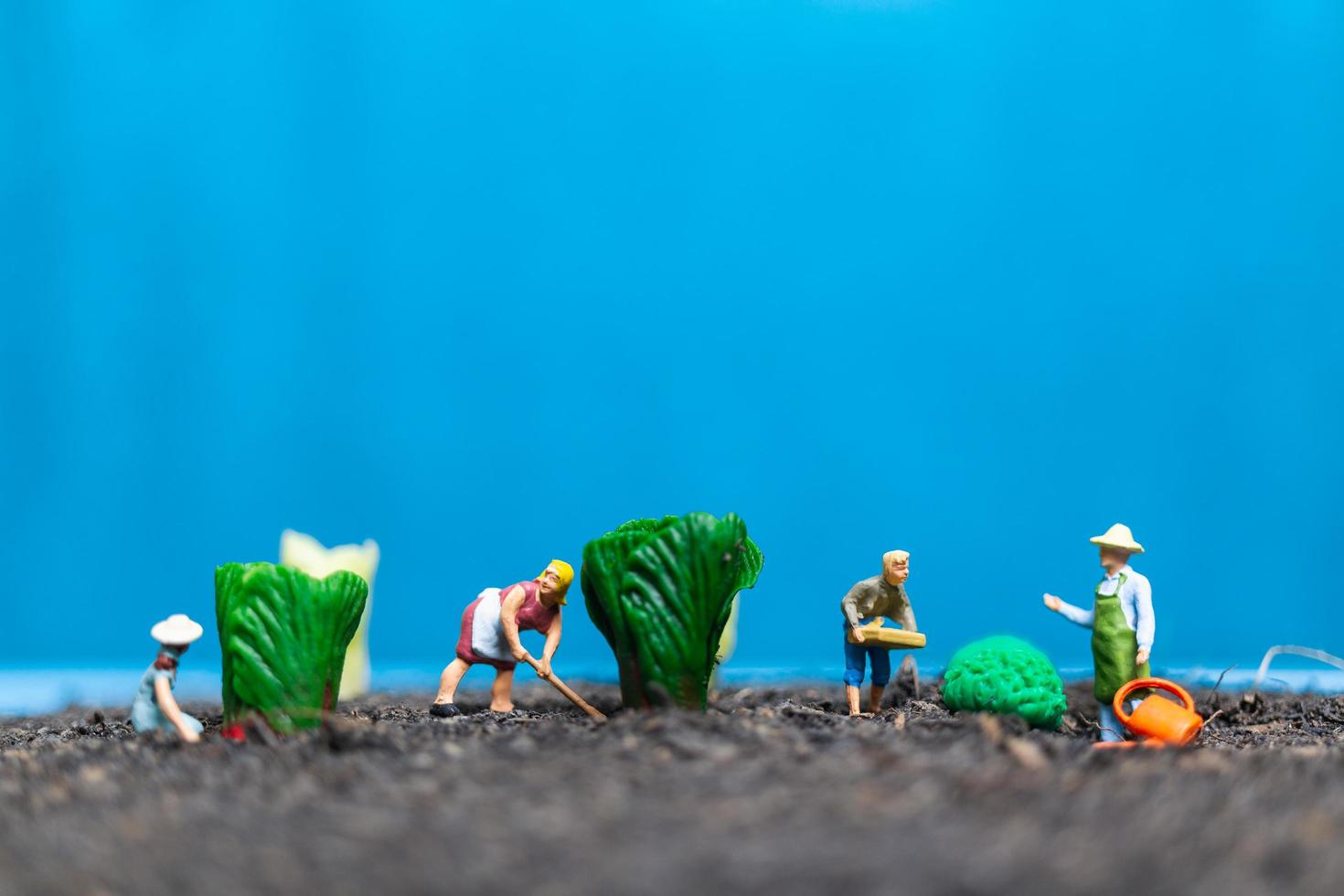 giardinieri in miniatura che raccolgono verdure, concetto agricolo foto