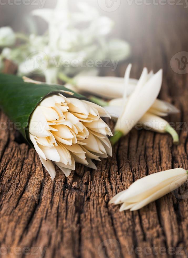 bianca champaka fiore nel babà foglia foto