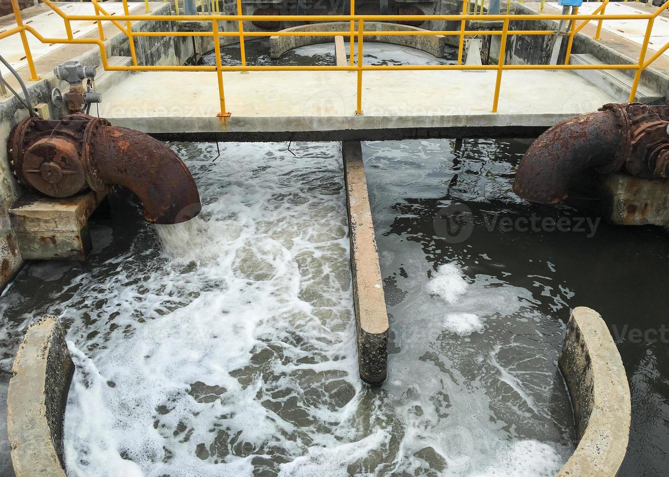 rifiuto acqua nel pianta foto