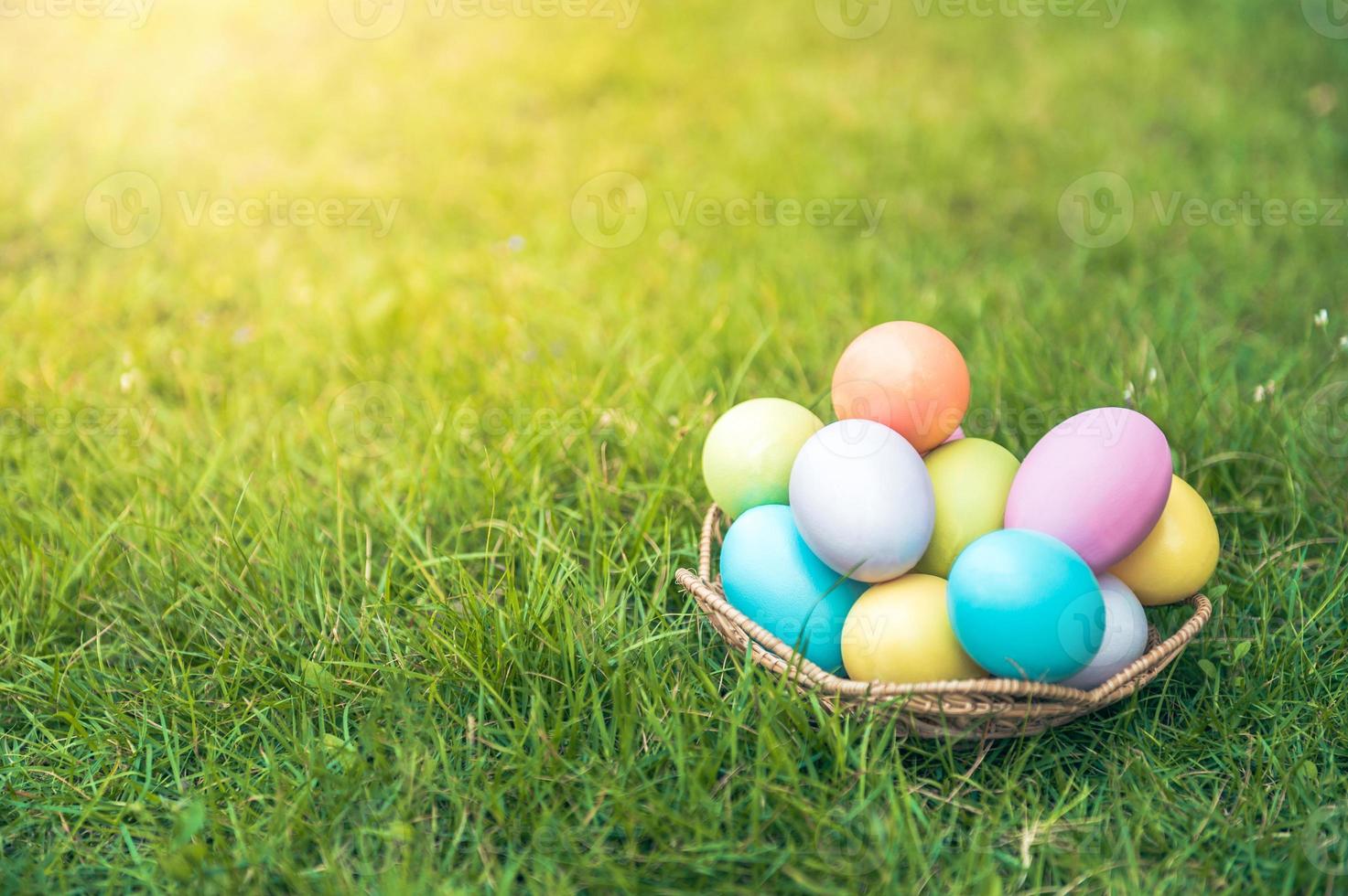 colorato Pasqua uova decorazione nel cestino con fiore su verde erba prato. contento Pasqua tradizione vacanza e primavera di stagione celebrazione concetto. foto