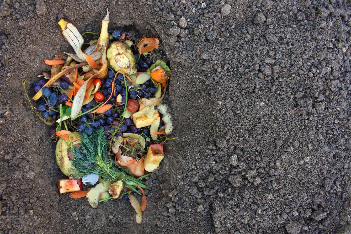 domestico rifiuto per concime a partire dal frutta e verdure nel giardino. foto