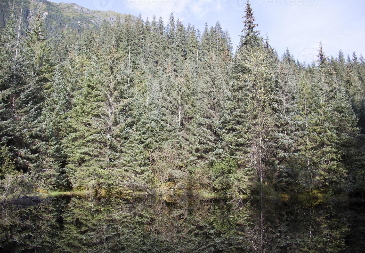 Juneau cittadina mendenhall ghiacciaio parco lago foto