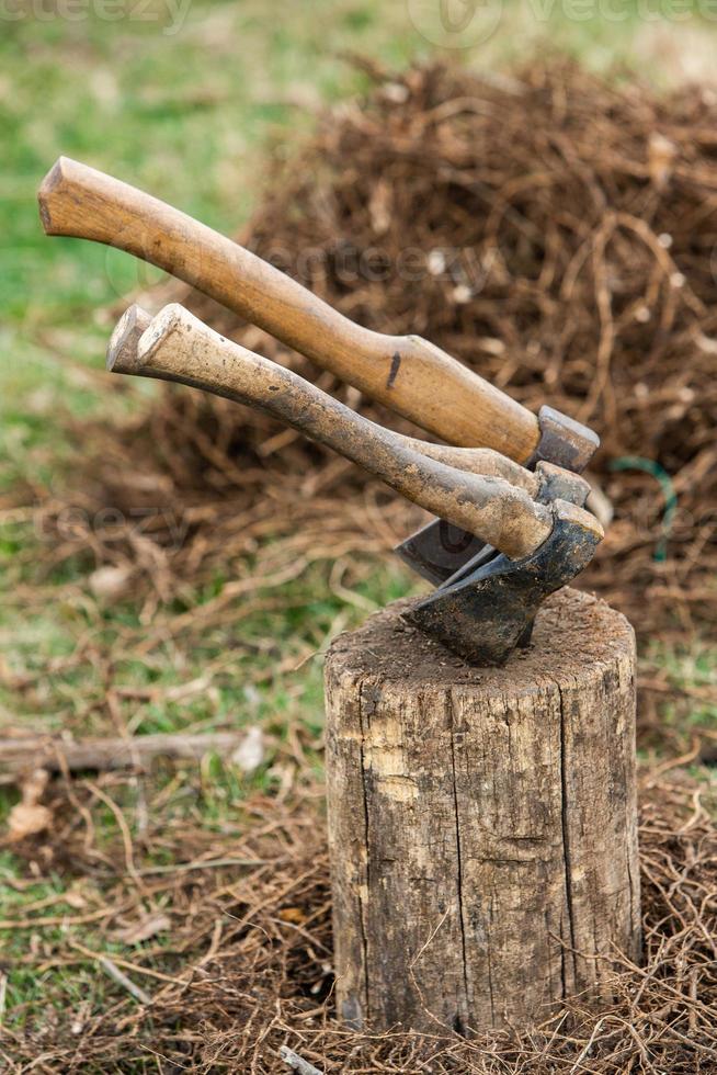 un' riga di piantine nel nero plastica contenitori con uno di loro essere piantato nel il terra. un' piccolo albero è essere piantato nel un' mucchio di suolo. foto