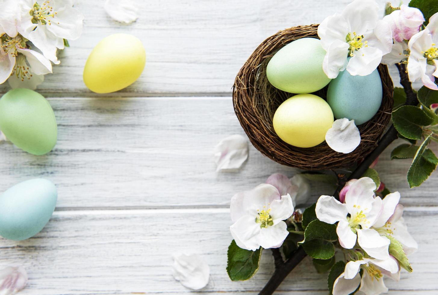 uova di Pasqua colorate con fiori di primavera sbocciano i fiori foto