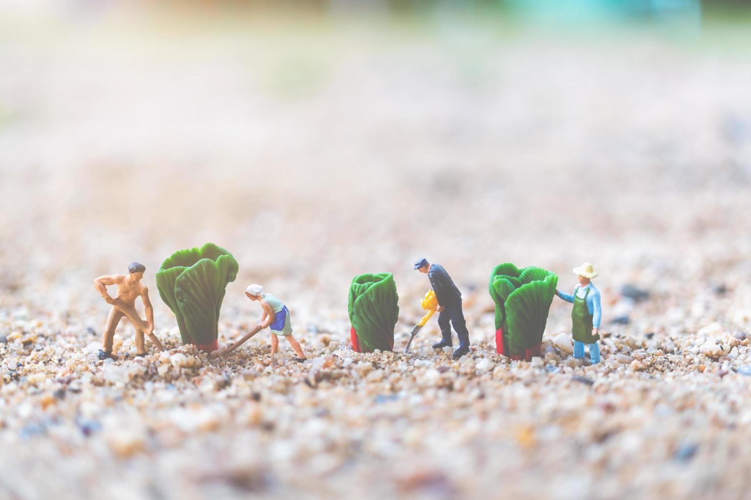 giardinieri in miniatura che raccolgono verdure, concetto di agricoltura foto