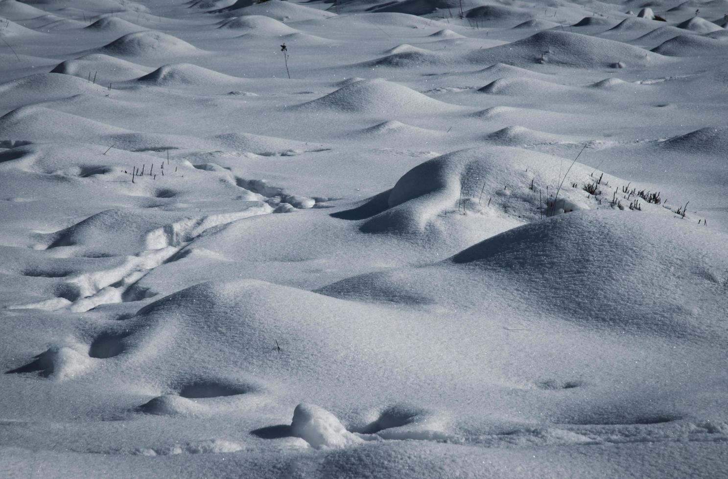 tumuli innevati sul terreno foto