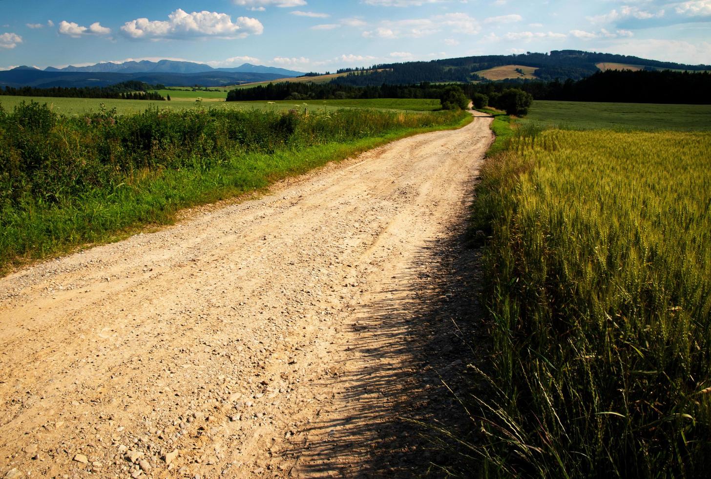 sentiero sabbioso attraverso la pittoresca campagna foto