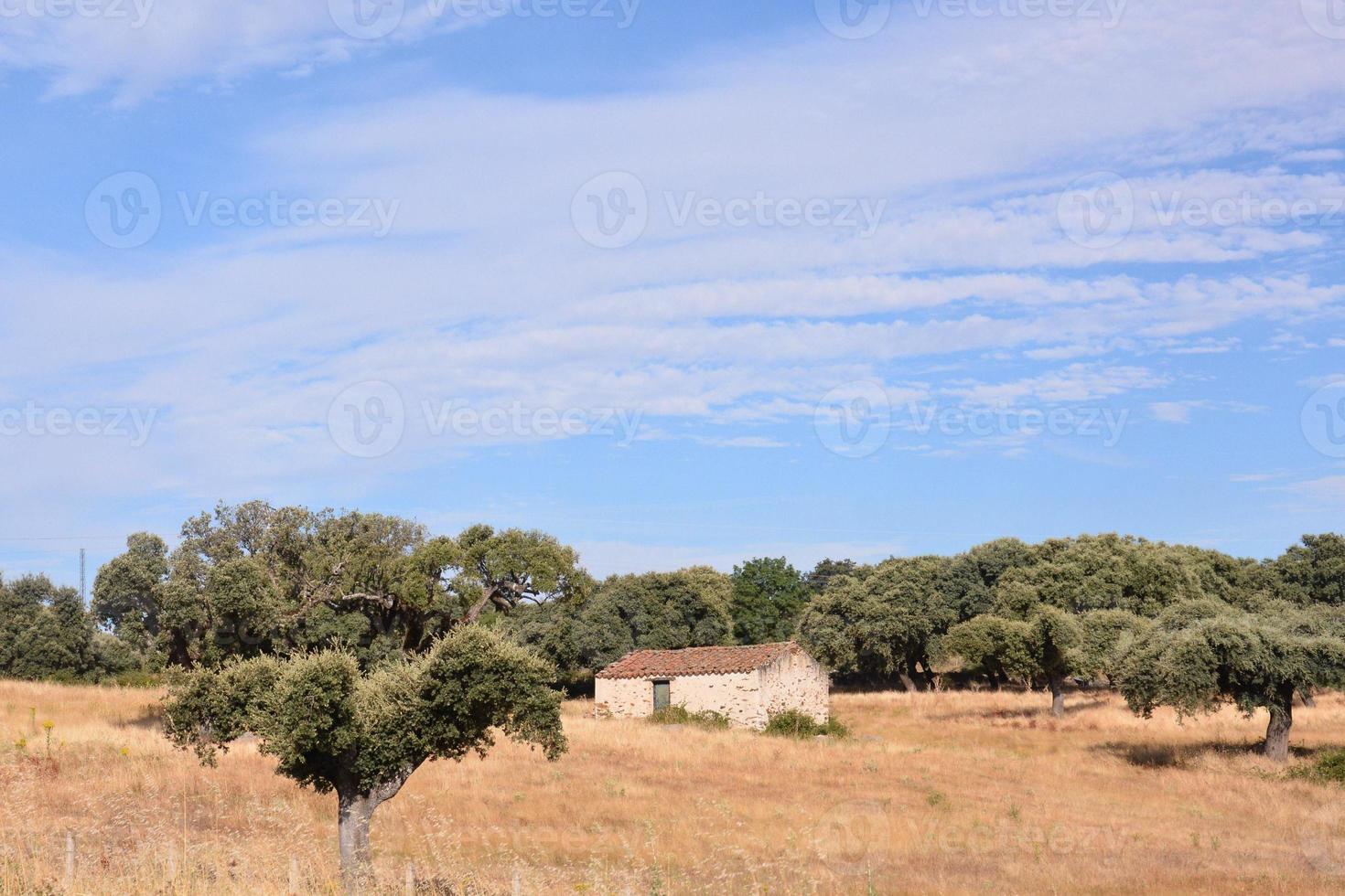 panoramico rurale paesaggio foto