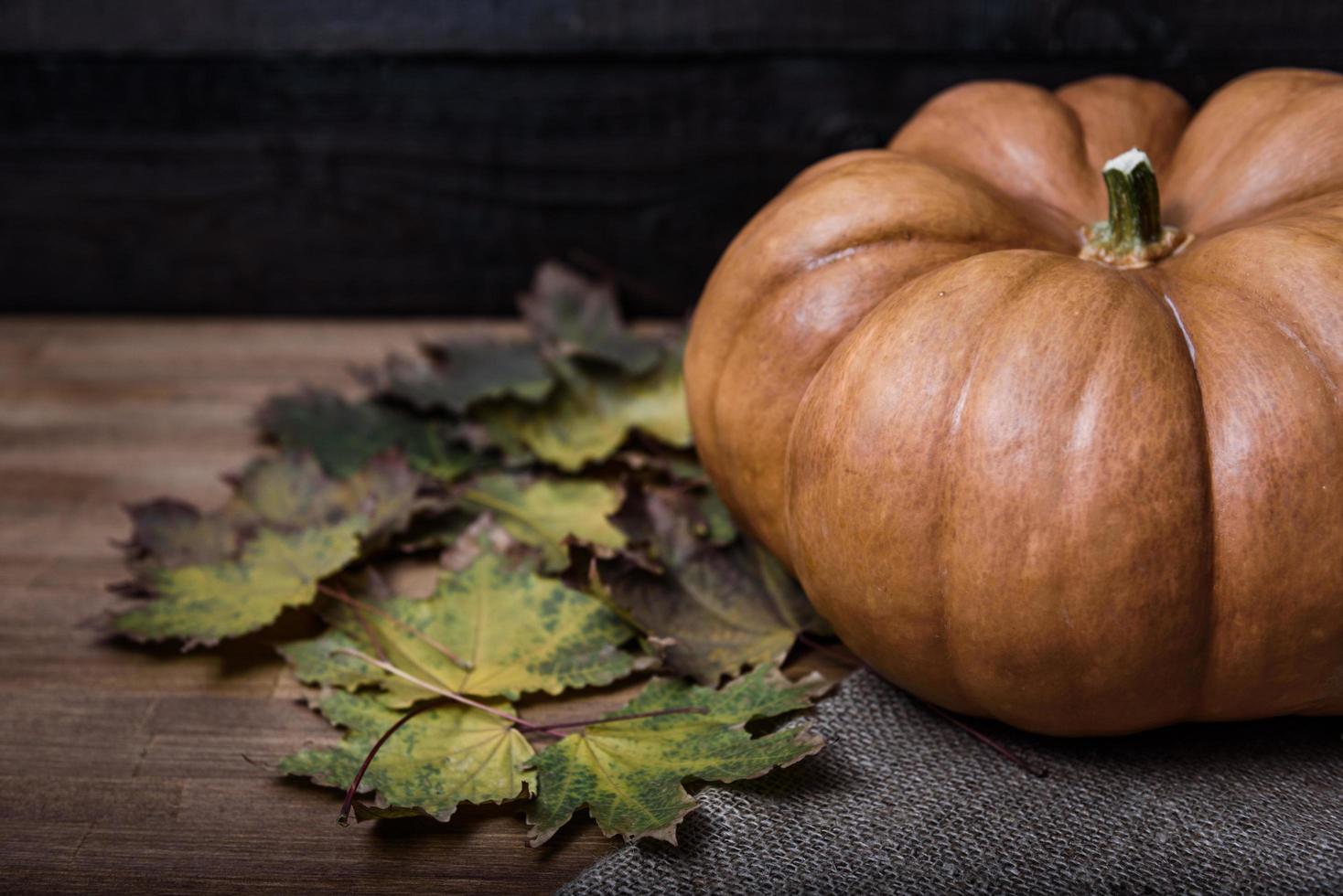 zucca sdraiato su un tavolo di legno foto