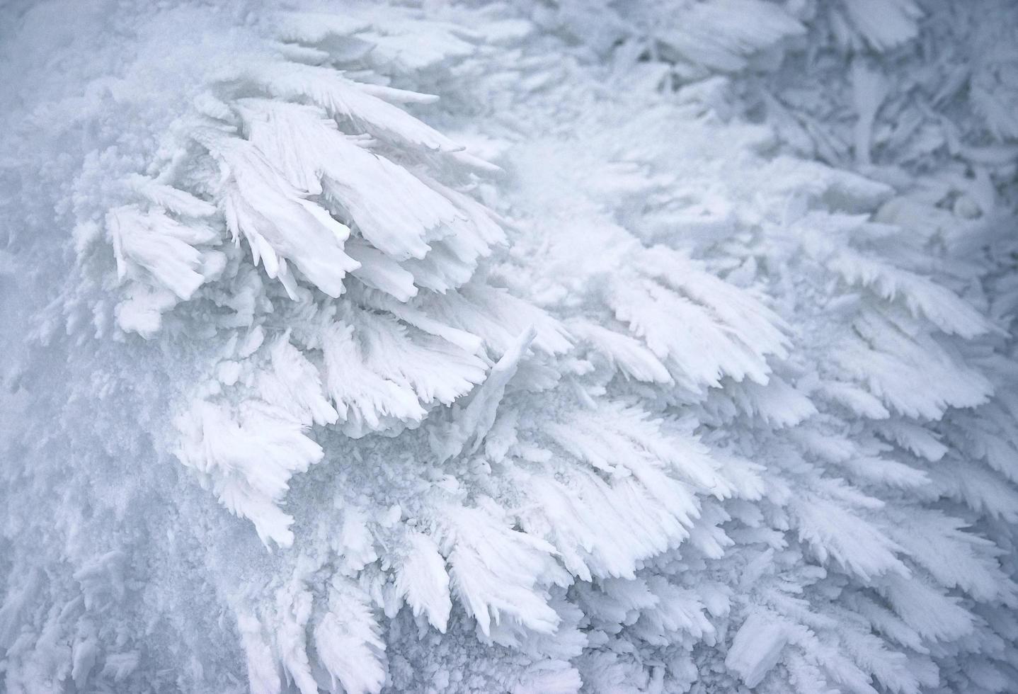 cristalli di neve astratti congelati foto