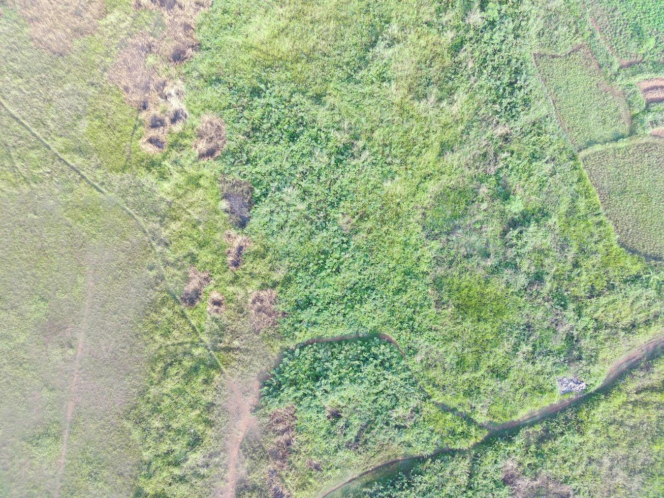 aereo Visualizza di terra Mappatura di senza equipaggio aereo veicolo nel bogor, Indonesia. foto