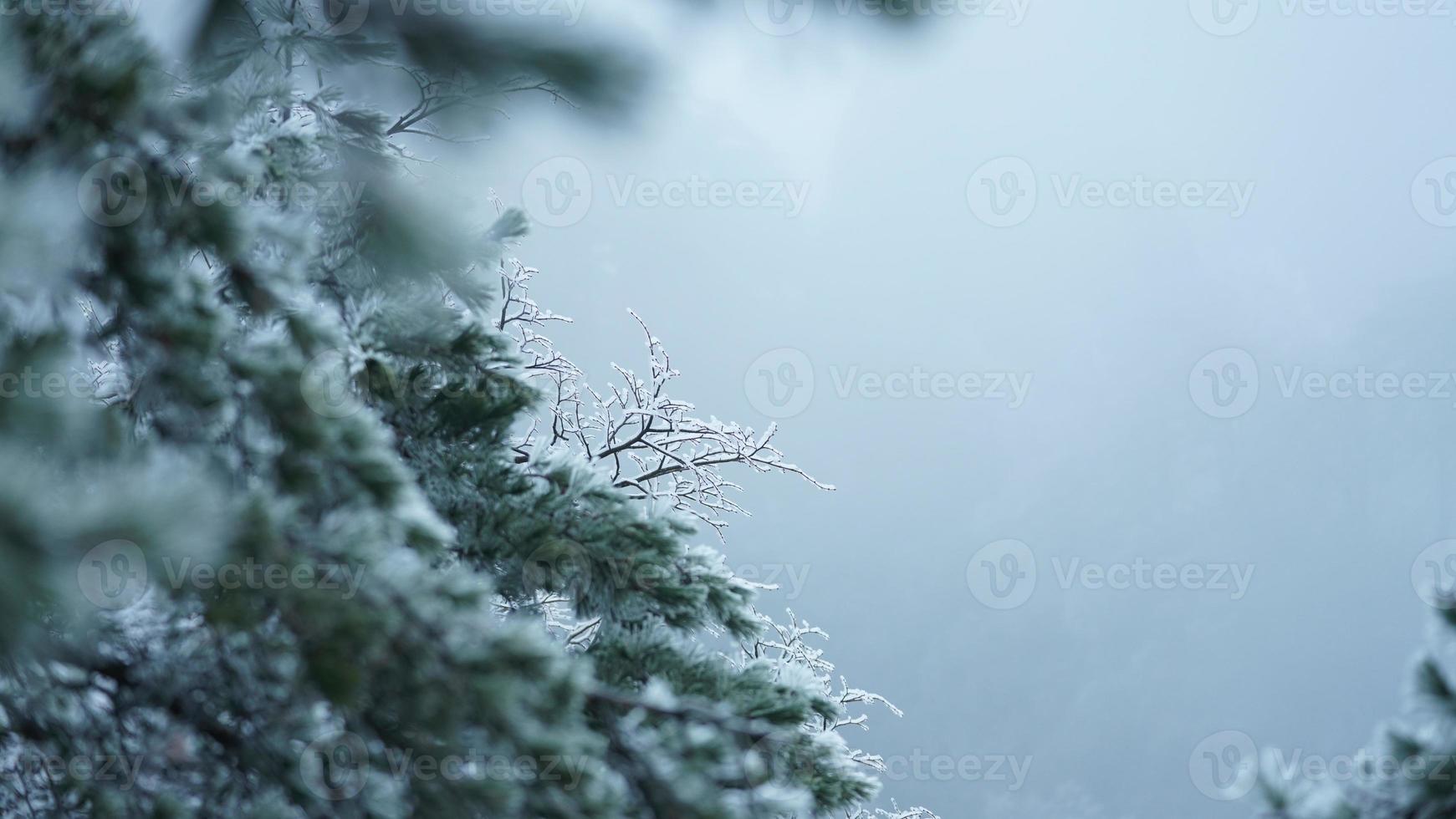 il bellissimo congelato montagne Visualizza coperto di il bianca neve e ghiaccio nel inverno foto