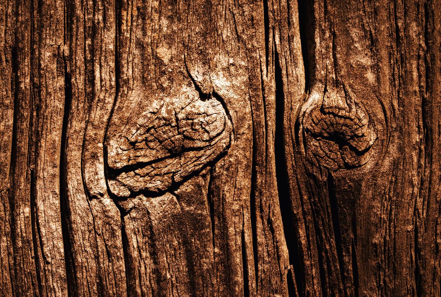 dettaglio di un vecchio piatto di legno marrone stagionato foto