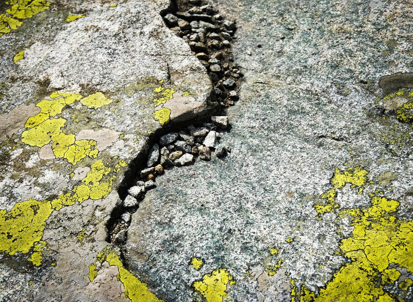 dettaglio di rocce granitiche con muschio giallo foto