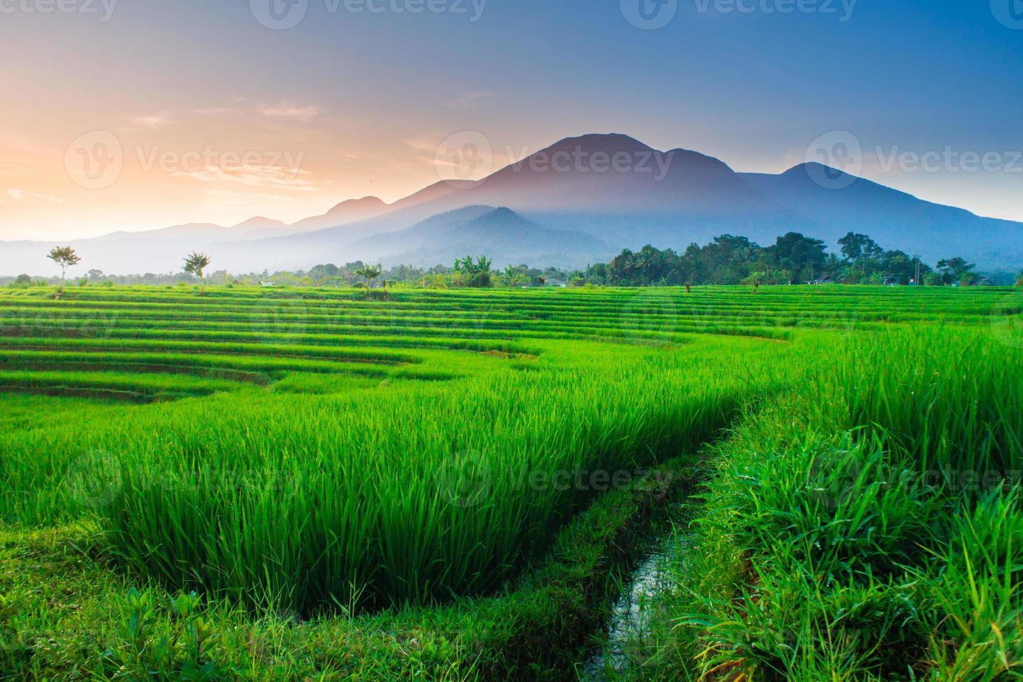 bellissimo mattina Visualizza Indonesia. panorama paesaggio risaia i campi con bellezza colore e cielo naturale leggero foto