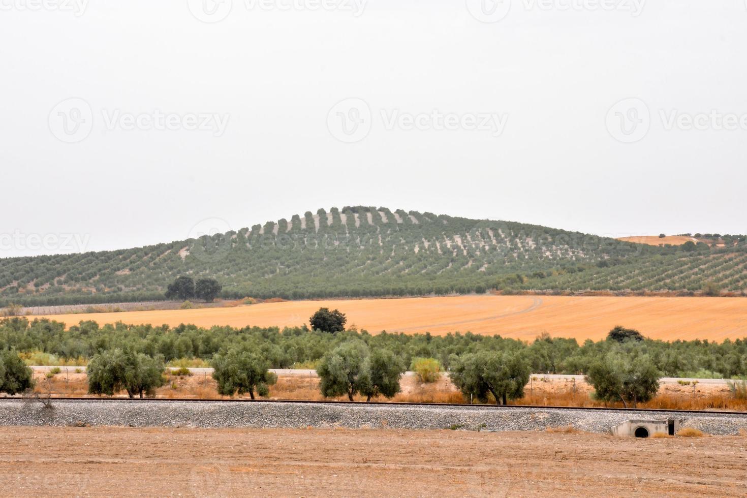 azienda agricola lungo il fiume foto