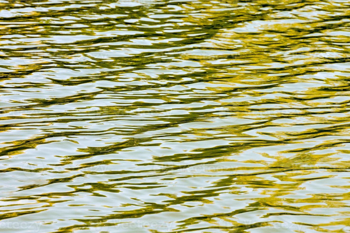 onde nell'acqua foto