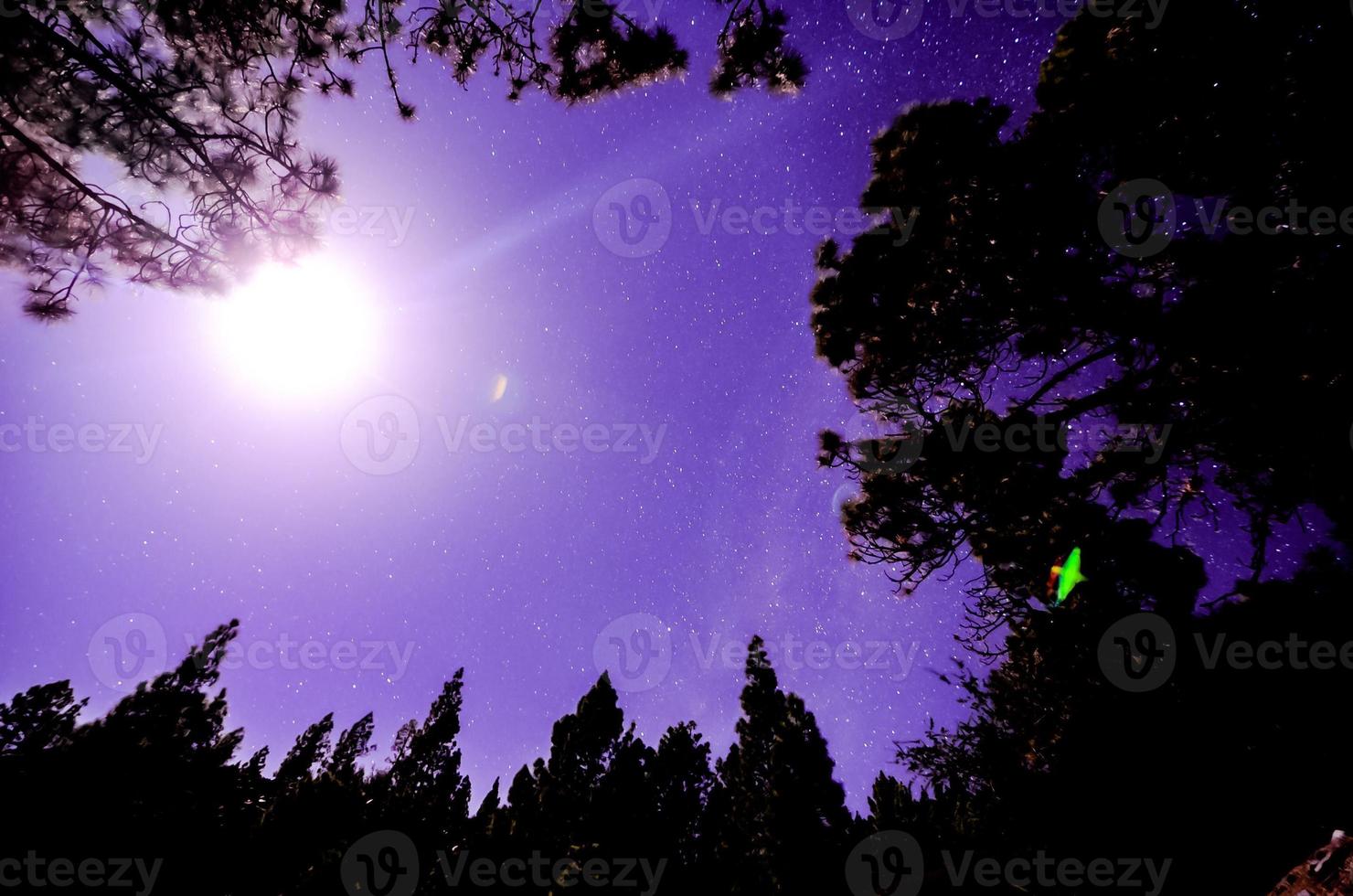 Alba al di sopra di il foresta foto