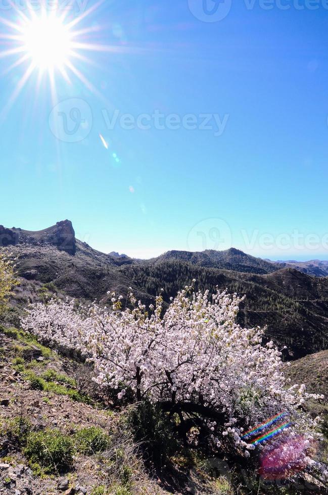 panoramico roccioso paesaggio foto